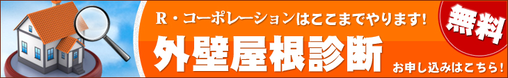 1級塗装技能士による徹底的な診断