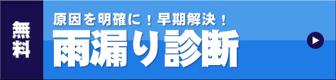 雨漏り診断