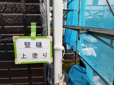 竪樋 上塗り施工中