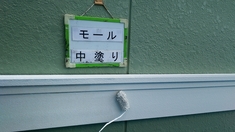 モール塗装 中塗り施工中