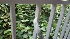 手摺りの塗装です。 細かい箇所もこのような小さい刷毛で塗っていきます。ペンキ塗りは根気が必要です。