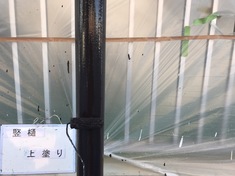 竪樋 上塗り施工中となります。