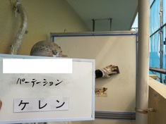 パーテーション ケレン作業