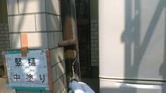 竪樋 中塗り施工中