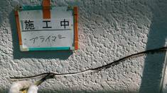 外壁塗装 補修作業 クラック箇所(Vカット処理) プライマー塗布施工中