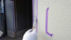 サッシ部分　コーキング作業 