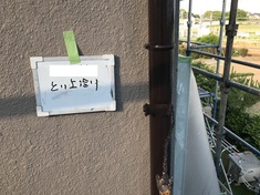 竪樋 上塗り施工中