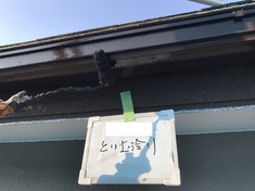 横樋 上塗り施工中