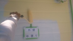 外壁 中塗り塗装中