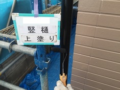 竪樋 上塗り施工中