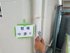 竪樋 中塗り