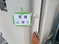 竪樋 上塗り